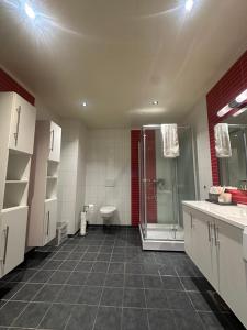 a bathroom with a shower and a sink and a toilet at Lofoten Retreat Apartment in Leknes +23 photos