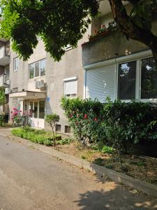 una casa con flores al lado de una calle en Cool Appartment, en Oradea
