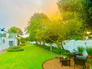 a yard of a house with chairs and trees at Whistlewood Guesthouse Walmer, Port Eizabeth in Port Elizabeth