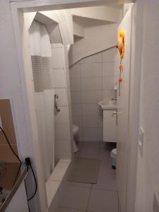 科尔丘拉Studio apartman TEDY的带水槽和马桶的浴室