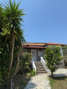 Сад в Villa Alexandros