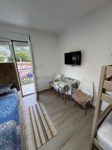 TV a/nebo společenská místnost v ubytování Spasic Apartments Sutomore