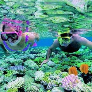 two people swimming in the water near a coral reef at B & Bee Wild Island - Nature Song in Fare