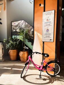 Jízda na kole v ubytování ON City Resort All Inclusive Prime nebo okolí