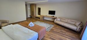 TV a/nebo společenská místnost v ubytování Hotel Pojata