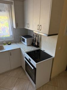 Кухня или мини-кухня в Villa Alexandros
