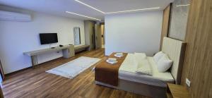 TV a/nebo společenská místnost v ubytování Hotel Pojata