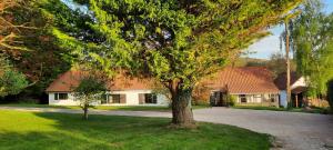 a large tree in front of a house at La Longère du Clos Saint Martin in Cavron-Saint-Martin