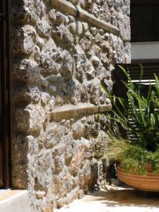 a stone wall with a plant next to a building at Olympus Stone Lodge in Litochoro