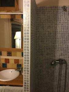 un bagno con lavandino e doccia di Casa del lince a Inazares