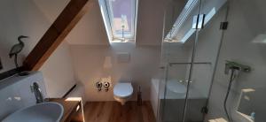 a bathroom with a toilet and a sink and a shower at s' Kännele Ferienwohnungen in Mudau +84 photos