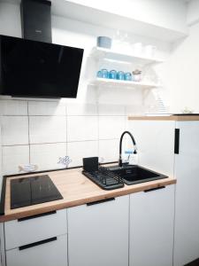 eine Küche mit Spüle und Arbeitsplatte in der Unterkunft Apartments and Rooms Marica in Makarska