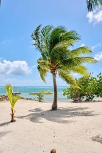 Příroda nedaleko vily