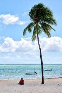 Příroda nedaleko vily