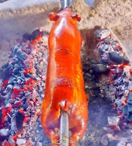 a close up of a fish on a stick at Sea-Sky Blue Beach Resort at Malabrigo Lobo Batangas-TW in Lobo +44 photos