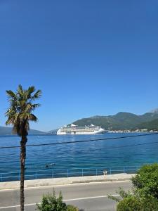 a palm tree in front of the water with a cruise ship at Apartmani Nikolić "Na pjeni od mora" in Tivat