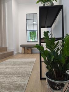 Televisyen dan/atau pusat hiburan di Apartmani Nikolić "Na pjeni od mora"