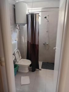 a bathroom with a toilet and a shower at Apartman Zemo camp in Međugorje +13 photos