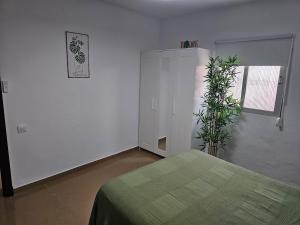 a bedroom with a green bed and a plant at La Casita in Chiclana de la Frontera