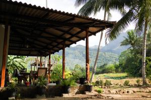 Příroda nedaleko kempu + 36 fotografií