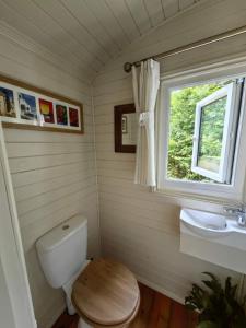 トンブリッジにあるBell Nook- Shepherd's hut with a spacious wood-fired hot tubのトイレ、洗面台、窓のあるバスルーム