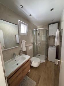 a bathroom with a sink and a toilet and a shower at Apartment Ivic in Bol