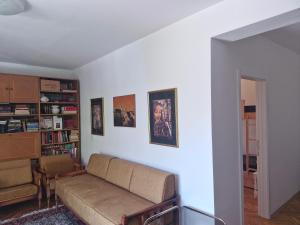 a living room with a couch and a book shelf at Golden Bay Apartment in Kotor