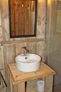 a bathroom with a white sink and a mirror at Safarizelte in Lychen