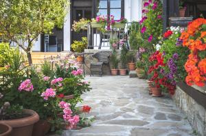 un jardín con flores y plantas en macetas en VILLA SOL, en Sunny Beach