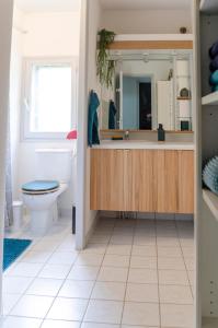 ein Badezimmer mit Waschbecken, Toilette und Spiegel in der Unterkunft Gîte Les Galinettes en Ardèche in Saint-Martin-le-Supérieur