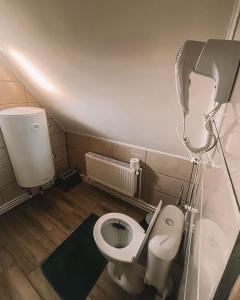 a bathroom with a toilet and a hair dryer at Căbănuțele de lângă râu in Păucineşti