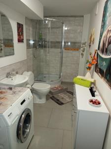 a bathroom with a washing machine and a toilet at Mieszkanie do wynajęcia w Centrum in Olecko