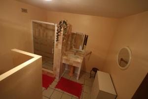 a bathroom with a shower and a sink and a mirror at La Roseraie gîte 3 épis avec piscine in Ruoms
