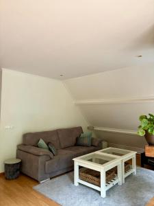 Fotografie z fotogalerie ubytování Vakantiehuisje in Oud Avereest v destinaci Balkbrug