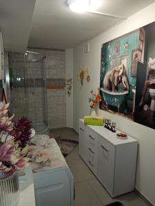a bathroom with a shower and a painting on the wall at Mieszkanie do wynajęcia w Centrum in Olecko