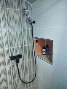 a shower in a bathroom with a mirror at Maison cévenole Alzon in Alzon