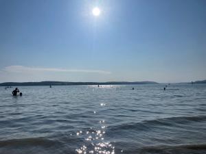 a group of people in a large body of water at Schlossseeapartment in Salem