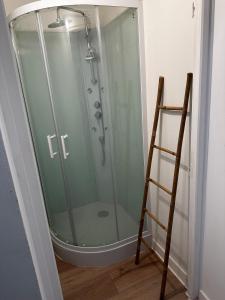 a shower with a glass door next to a ladder at Beautiful studio near the city center in Talence