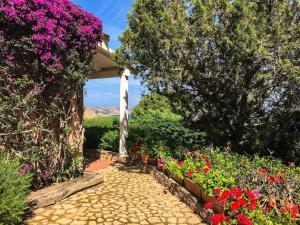 Κήπος έξω από το Villa Domo Elia