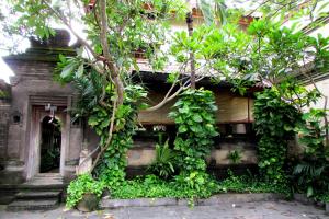 a building with plants on the side of it at Griya Ayu Inn in Sanur