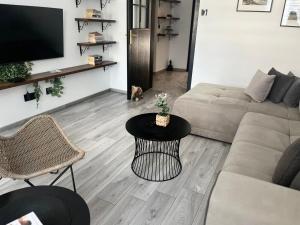 TV a/nebo společenská místnost v ubytování Apartman Darvin / Lux