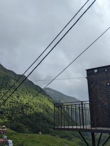 Příroda nedaleko apartmánu