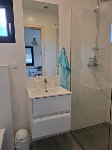 a bathroom with a sink and a shower at Perła Szotlandu II in Władysławowo +30 photos
