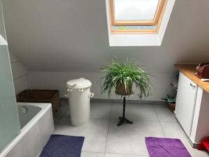 un bagno con una vasca e una pianta in vaso di Natur, Kultur und Wandern a Losheim