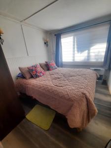 a bedroom with a bed with a pink comforter and a window at MARGOT in Coihaique