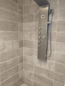 a bathroom with a shower with a shower head at Grande maison BREST in Brest