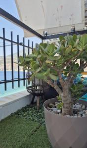 Zahrada ubytování Captain's home loutraki