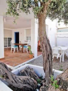 Patio alebo iná vonkajšia časť ubytovania Apartamentos Turisticos CAN CUNILL