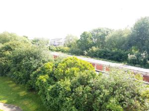 an overhead view of a garden with bushes and trees at Ezerkrasts Kempes 28 in Liepāja