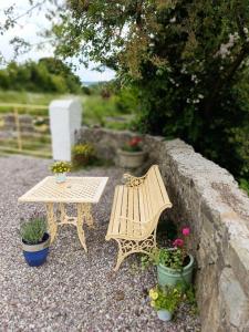 Mynd úr myndasafni af Whitethorn í Cork